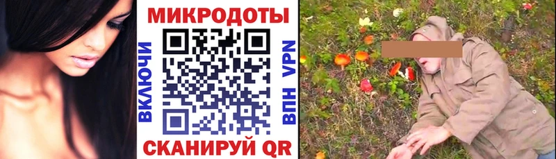 закладка  Выборг  Галлюциногенные грибы мицелий 